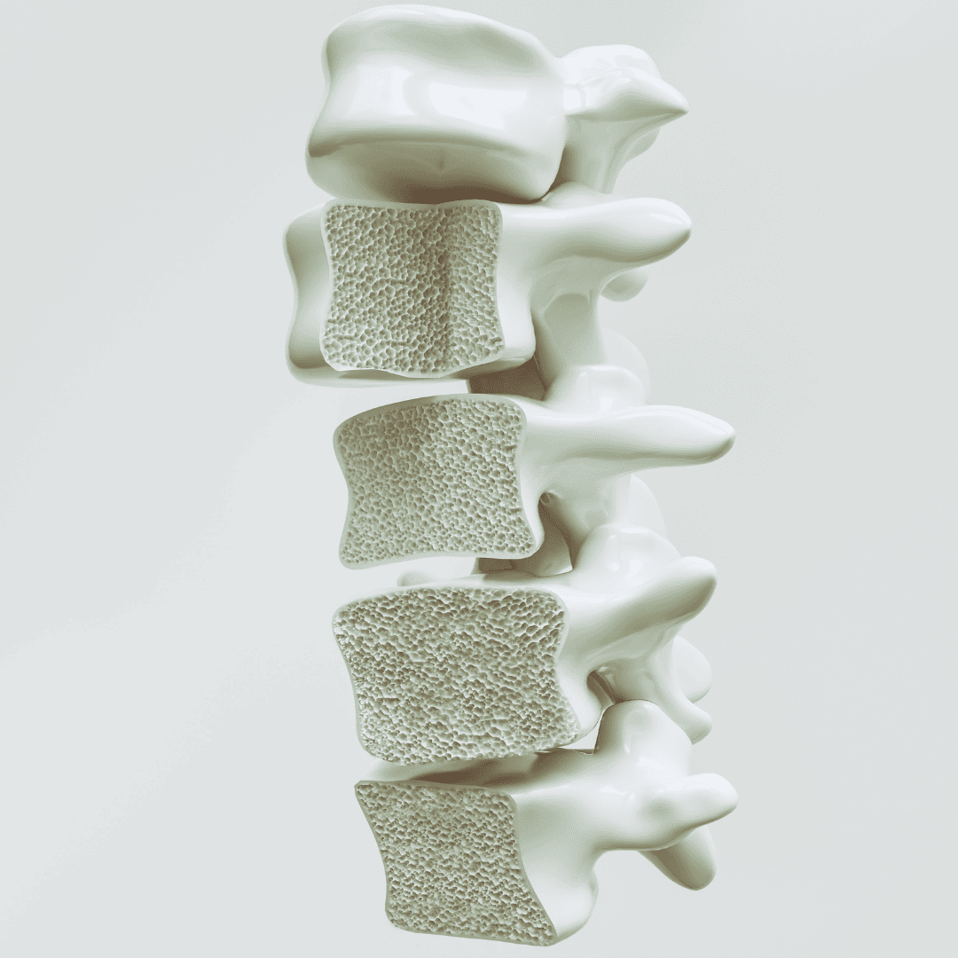 Physiotherapie bei Osteoporose